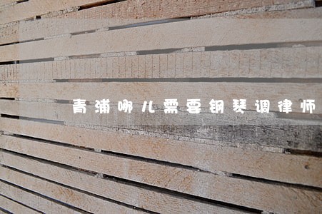 青浦哪儿需要钢琴调律师 青浦哪儿需要钢琴调律师