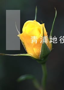 青浦地役权律师需要多少钱