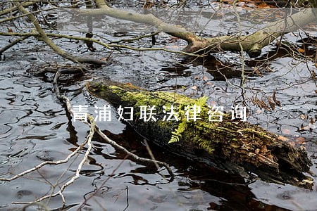 青浦妇联法律咨询 青浦妇联法律咨询