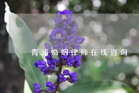 青浦婚姻律师在线咨询 青浦婚姻律师在线咨询