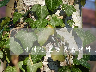 青浦安置房买卖律师多年行业经验 青浦安置房买卖律师多年行业经验