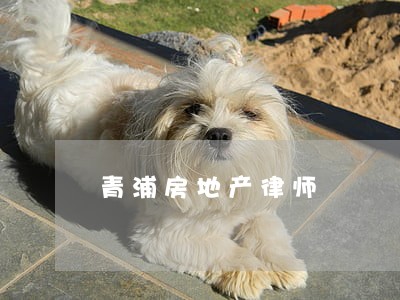 青浦房地产律师 青浦房地产律师