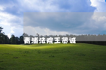 青浦法院王贤诚 青浦法院王贤诚