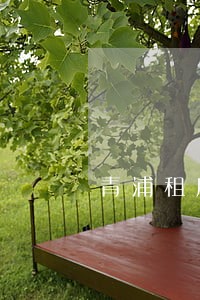 青浦租房合同纠纷律师 青浦租房合同纠纷律师