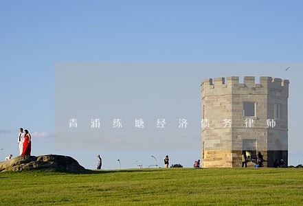 青浦练塘经济债务律师 青浦练塘经济债务律师