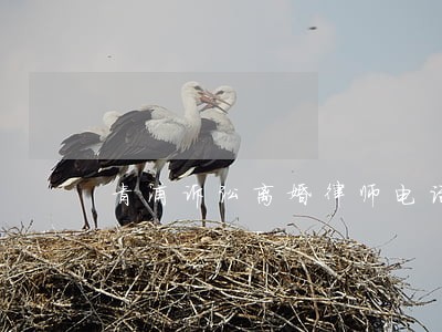 青浦诉讼离婚律师电话多少 青浦诉讼离婚律师电话多少