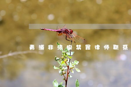 青浦非法拘禁罪律师联系电话 青浦非法拘禁罪律师联系电话