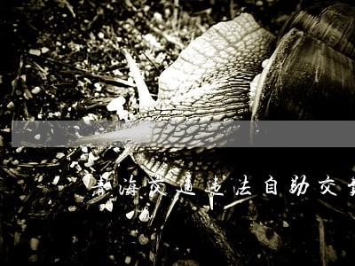 青海交通违法自助交费系统