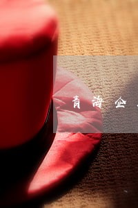 青海企业负债逾期处理方法 青海企业负债逾期处理方法