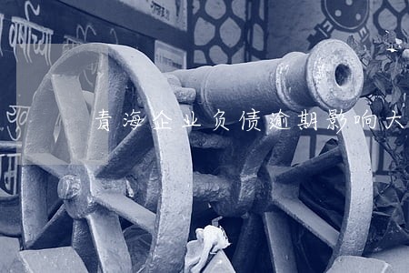 青海企业负债逾期影响大吗