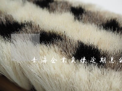 青海企业负债逾期怎么处理 青海企业负债逾期怎么处理