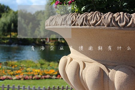 青海企业负债逾期有什么后果 青海企业负债逾期有什么后果