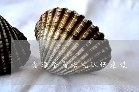 青海全省法院队伍建设 青海全省法院队伍建设