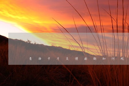 青海卡片负债逾期如何规划还款 青海卡片负债逾期如何规划还款