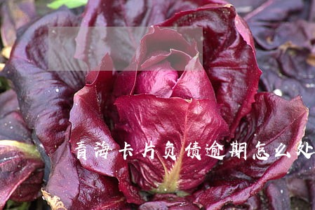 青海卡片负债逾期怎么处理 青海卡片负债逾期怎么处理