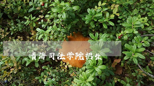 青海司法学院招生 青海司法学院招生
