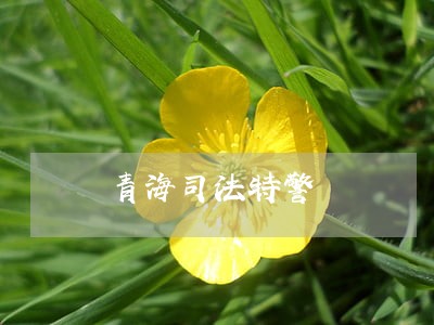 青海司法特警