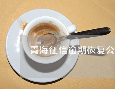 青海征信逾期恢复公司 青海征信逾期恢复公司