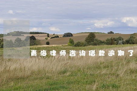 青海律师咨询借款逾期了怎么办 青海律师咨询借款逾期了怎么办