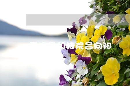 青海民和法院吕向阳