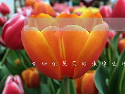 青海汪成荣的法律咨询