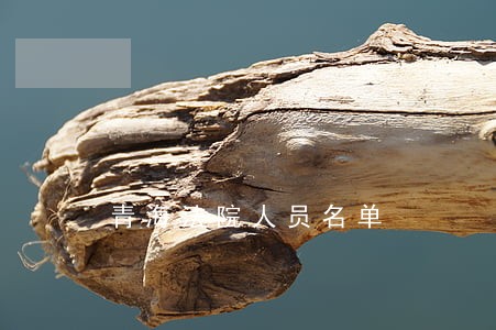 青海法院人员名单