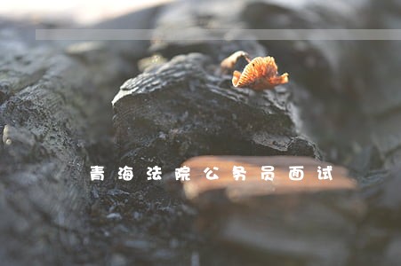 青海法院公务员面试