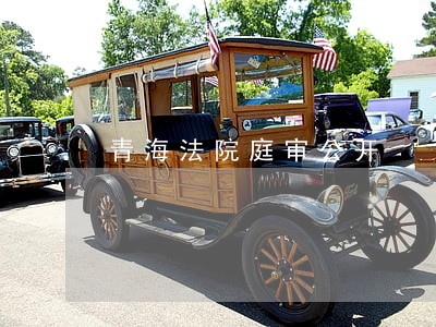 青海法院庭审公开 青海法院庭审公开