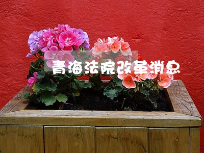 青海法院改革消息 青海法院改革消息