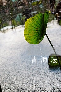 青海法院纪检网方申生 青海法院纪检网方申生
