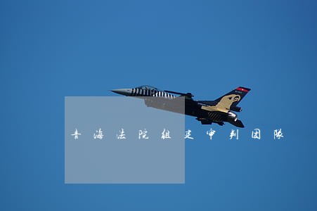 青海法院组建审判团队 青海法院组建审判团队