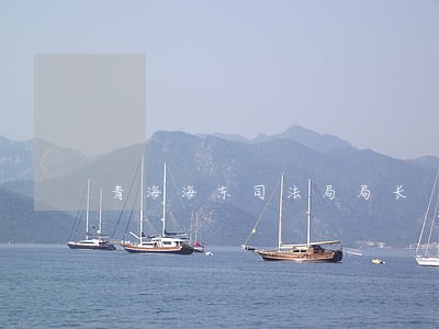 青海海东司法局局长 青海海东司法局局长