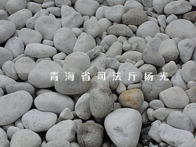 青海省司法厅杨光 青海省司法厅杨光