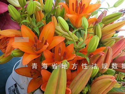 青海省地方性法规数据库 青海省地方性法规数据库