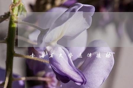 青海省大学法律援助