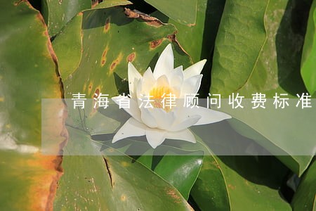 青海省法律顾问收费标准 青海省法律顾问收费标准