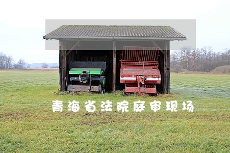 青海省法院庭审现场