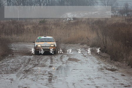 青海省法院王育军