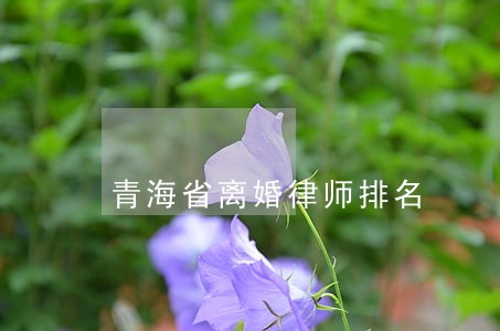 青海省离婚律师排名 青海省离婚律师排名