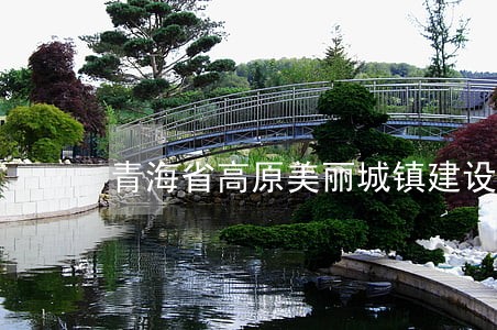 青海省高原美丽城镇建设促进条例 青海省高原美丽城镇建设促进条例