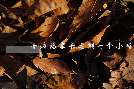 青海福农卡逾期一个小时 青海福农卡逾期一个小时
