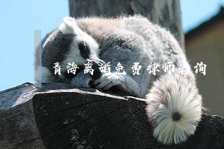 青海离婚免费律师咨询 青海离婚免费律师咨询