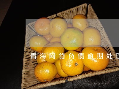 青海网贷负债逾期处理律师 青海网贷负债逾期处理律师