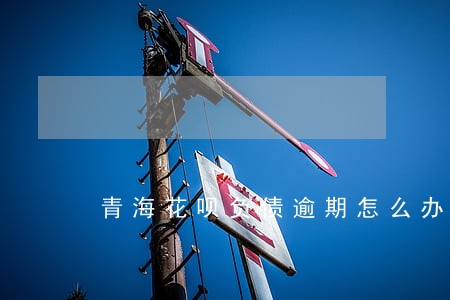 青海花呗负债逾期怎么办 青海花呗负债逾期怎么办