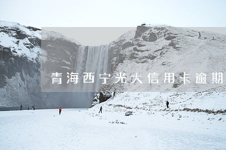 青海西宁光大信用卡逾期 青海西宁光大信用卡逾期