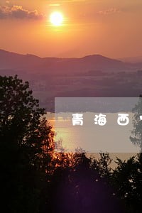 青海西宁大学法律顾问 青海西宁大学法律顾问