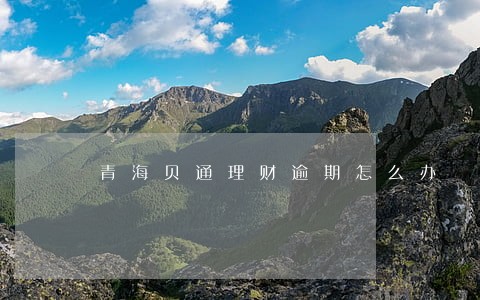 青海贝通理财逾期怎么办 青海贝通理财逾期怎么办