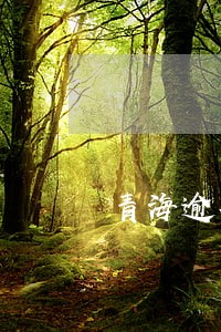 青海逾期如何协商分期 青海逾期如何协商分期