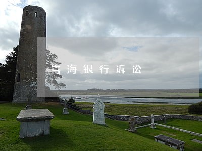青海银行诉讼