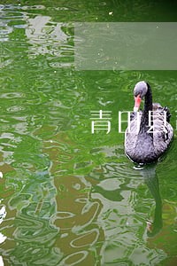 青田县司法局开展进监帮教活动 青田县司法局开展进监帮教活动